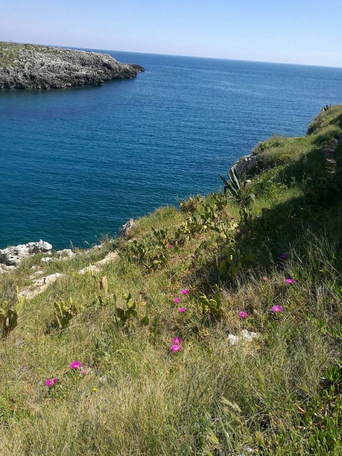 Badisco Vacanze *